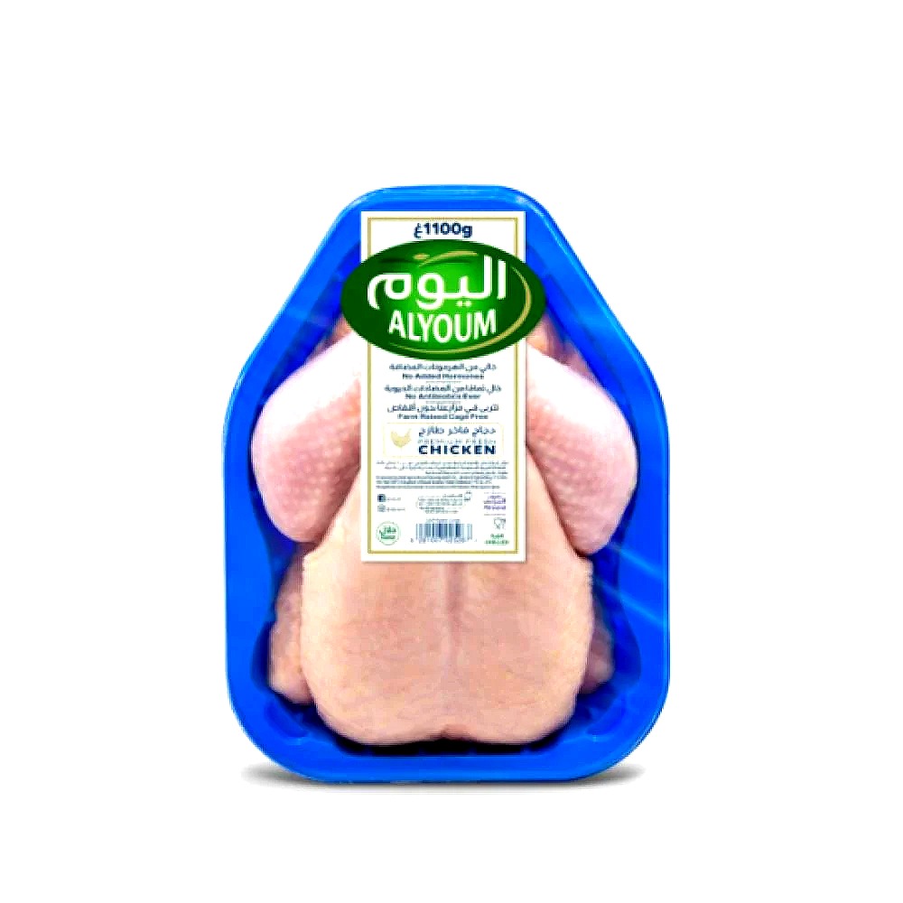 دجاج اليوم فاخر طازج 1100 جم